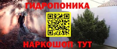 тгк Пенза