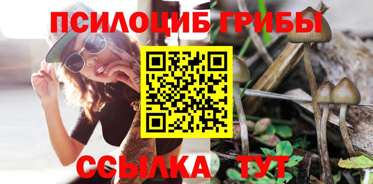 Псилоцибиновые грибы Psilocybine cubensis  Вход с VPN  Прохладный 